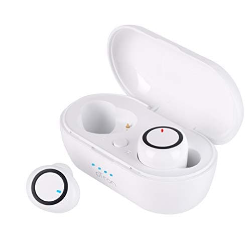 pTron Bassbuds In Ear True Wireless Bluetooth 5.0 Headphones with Mic, Hi-Fi Deep Bass, 20Hrs Playtime with Case, Ergonomic Sweatproof Earbuds, Noise 
