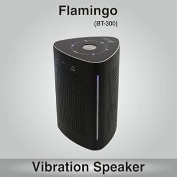 Persang Karaoke Flamingo 300 Bluetooth Portable Speaker (Black) PA & Stage