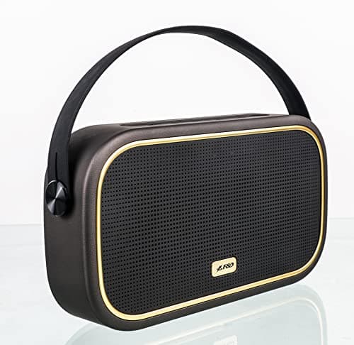 F&D W18 10W Bluetooth Speaker V5.0 and USB, TF Card Slot, Built-in Microphone with FM Radio (Black)