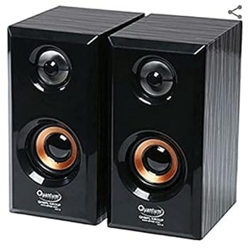 Quantum QHM636 USB Powered Wooden Speaker (Multicolor) PC Speakers