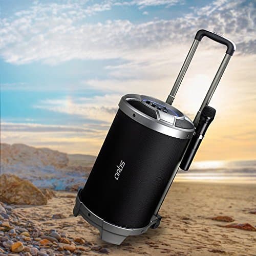 Artis BT900 Outdoor Portable Bluetooth Speaker with USB/FM/Micro SD Card Reader/AUX in/Mic (Black)
