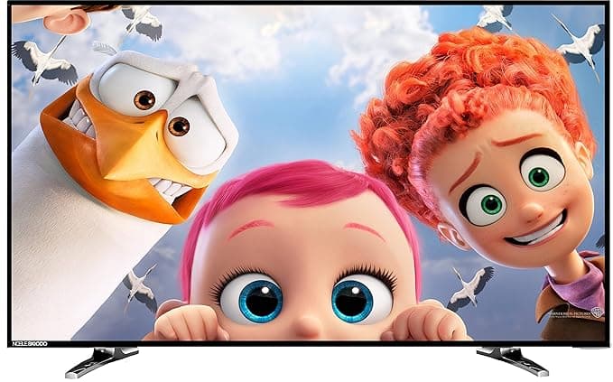 Noble Skiodo 60 cm (24 Inches) HD Ready LED TV 24CV24N01 (Black)