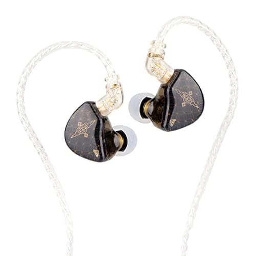 TANGZU WAN’ER S.G Wired IEM Earphone With Mic, HiFi 10mm Dual Cavity Dynamic Driver | N52 Neodymium Magnetic Circuit in Ear Monitor | Water Resistant Earbuds with 0.78mm 2 Pin 5N OFC Detachable Cable & Leatherette Case (Black, Without Mic)