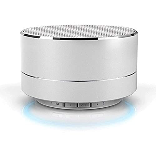 MECKWELL Bluetooth Speakers A10 with Mic 3W Super Bass Mini Metal Aluminium Alloy Speaker for Home, Outdoor, Travel (Color Silver)