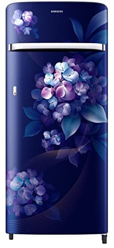 Samsung 225L 4 Star Direct Cool Single Door Digital Inverter Refrigerator (RR23B2G2XHS/HL, Hydrangea Blue)
