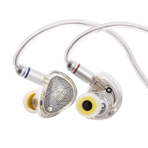 Tangzu Wan'er S.G 2 Wired IEM Earphone with Mic, 10mm PET Diaphragm Dynamic Driver In-Ear Monitor earbuds with Ergonomic Resin Housing, Detachable 0.7...