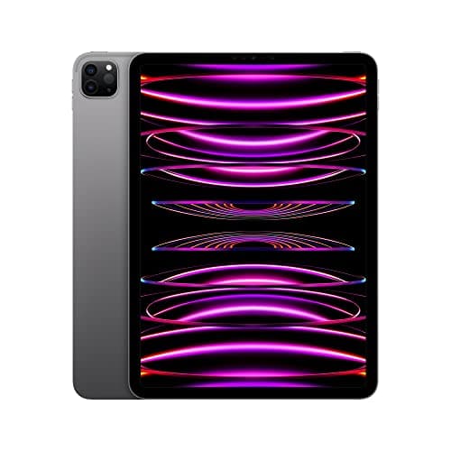 Apple 2022 11-inch iPad Pro (Wi-Fi, 2TB) - Space Grey (4th Generation)