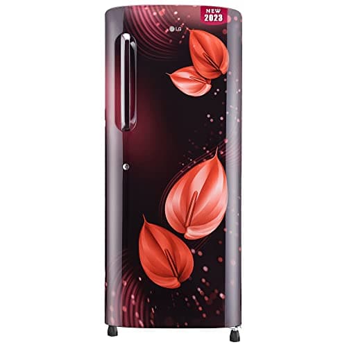 LG 224 L 4 Star Inverter Direct-Cool Single Door Refrigerator (GL-B241ASVY, Scarlet Victoria, Smart Connect)