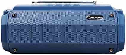 AUDIOEX AWS1111 10 Watt Truly Wireless Bluetooth Speaker (Blue)