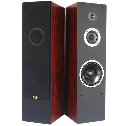 Divine audio T3W Floor Standing Speaker