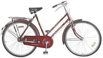 Avon Action Roadster 26T Frame 50cm (Adult Ladies)