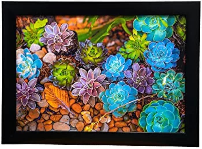 Wall Art Frame Without Glass, Wall art frames, Green Lotus Floral photo frames for wall decoration, Photo frame for Bedroom, Wall frame living room (11 inches x 15 Inches, Black Frame)