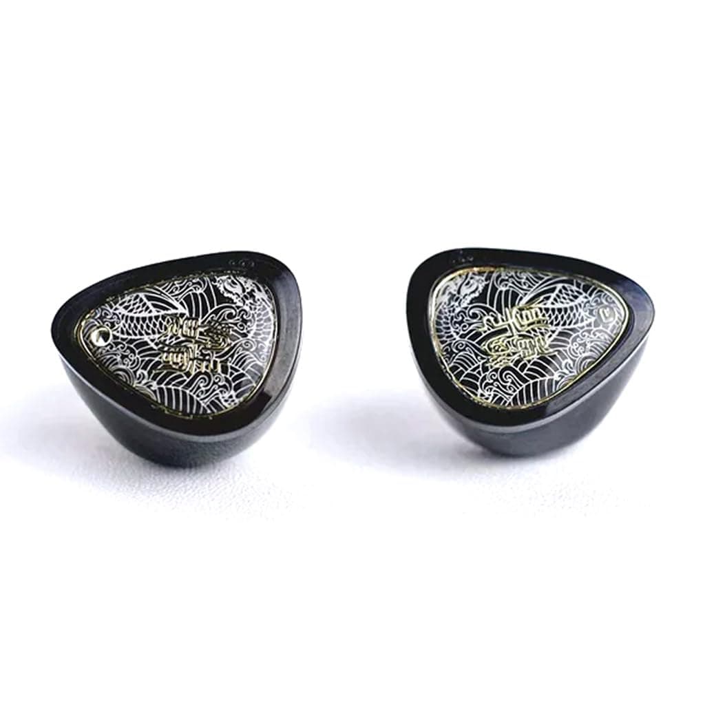 Tangzu Wan'er S.G 2 Wired IEM Earphone with Mic, 10mm PET Diaphragm Dynamic Driver In-Ear Monitor earbuds with Ergonomic Resin Housing, Detachable 0.78mm 2-Pin Silver-Plated (Black, Type-C, Mic)