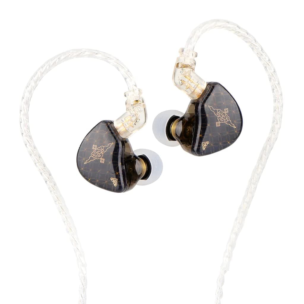 TANGZU WAN’ER S.G Wired IEM Earphone With Mic, HiFi 10mm Dual Cavity Dynamic Driver | N52 Neodymium Magnetic Circuit in Ear Monitor | Water Resistant Earbuds with 0.78mm 2 Pin 5N OFC Detachable Cable & Leatherette Case (Black, With Mic)