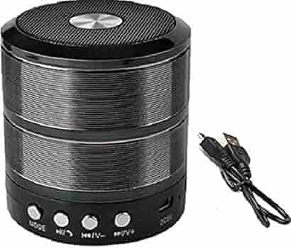 Skywings WS-887 Mini Bluetooth Speaker with FM Radio, Memory Card Slot, USB Pen Drive Slot, AUX Input Mode (Random Color)