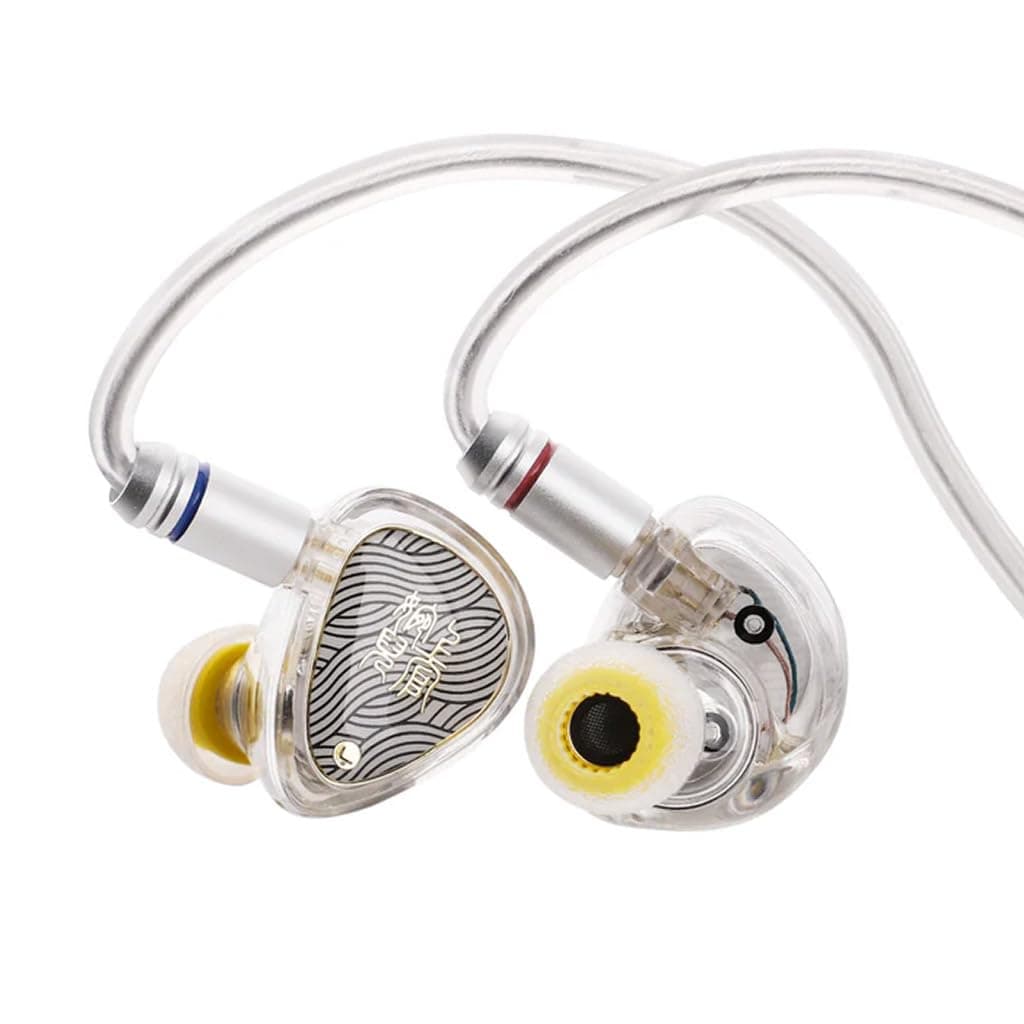 Tangzu Wan'er S.G 2 Wired IEM Earphone with Mic, 10mm PET Diaphragm Dynamic Driver In-Ear Monitor earbuds with Ergonomic Resin Housing, Detachable 0.7...