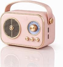 Fire turtle Vintage Bluetooth Wireless Speaker | 10W RMS Loud Sound | Retro Design with Type-C Charging, 8H Battery Backu...