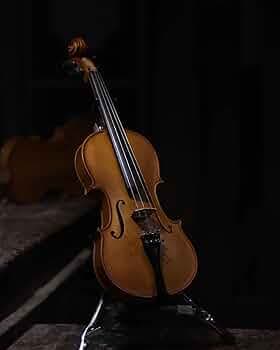 Violin 4/4 with Grains front spruce wood back and neck aged maple tailpiece and all fitting ebony full set icluded horse hair quality bow, rosin with ...
