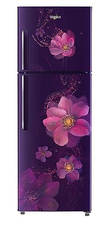 Whirlpool 245 L 2 Star Frost-Free Double Door Refrigerator (NEO 258H ROY 2S, Purple Viola) Refrigerators