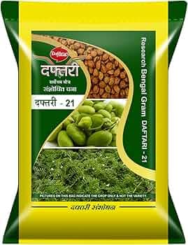 Gram Seed (Chana) (Daftari - 31) 10Kg