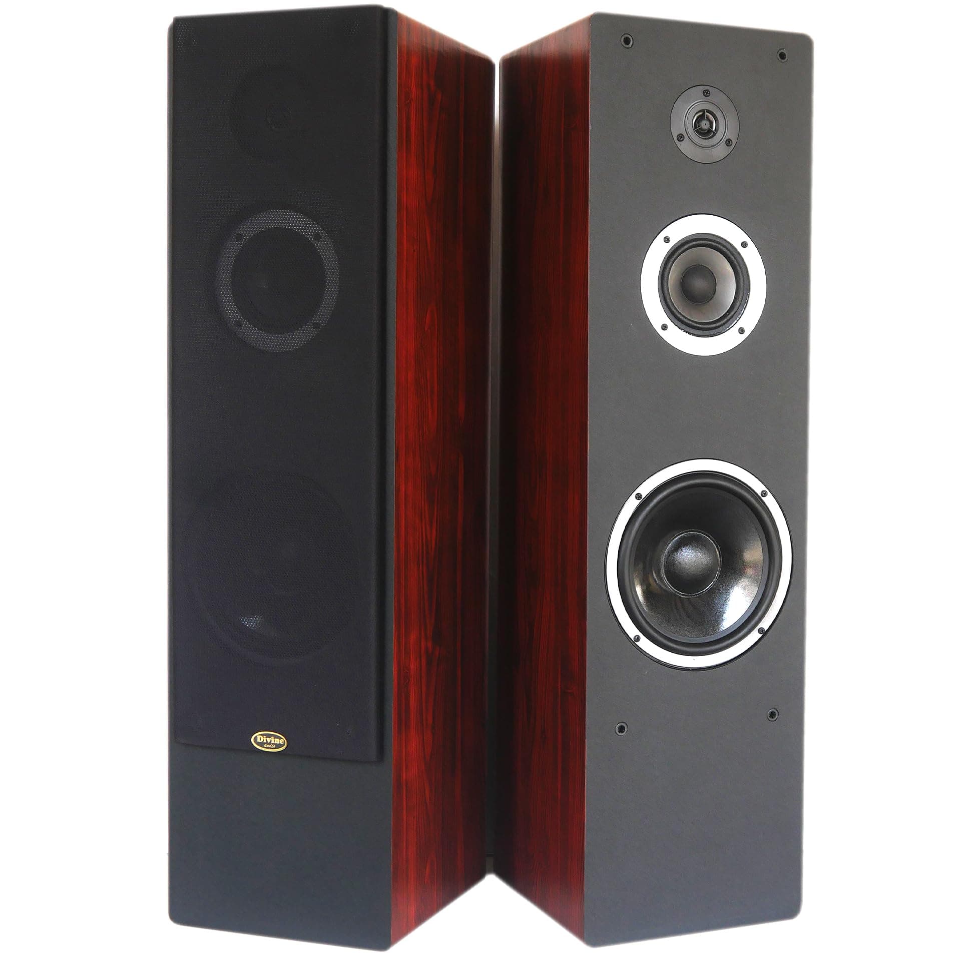 Divine audio T3W Floor Standing Speaker
