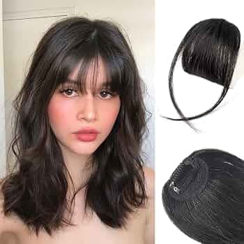 BAERFIT Clip in Bangs for Women 100% Human Hair Extensions Wispy Bangs Fringe with Temples Hairpieces Clip in Bangs Front Hair Bangs Flat Bangs Clip C...