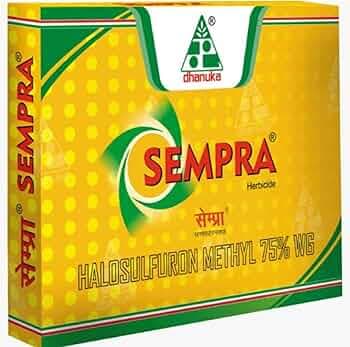 Dhanuka Agritech Limited Sempra (Halosulfuron Methyl 75% Wg) Herb, 36Gm,Powder