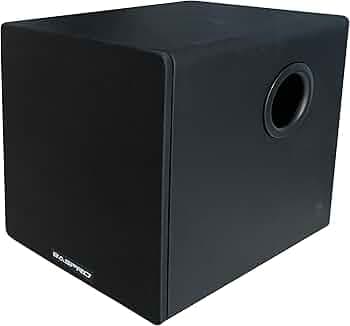 BASPRO HT-10000SW 10-inch Passive Home Sub-woofer (Note: This subwoofer Need Additional Mono Amplifier of Power Range 100~200W RMS for Playing)