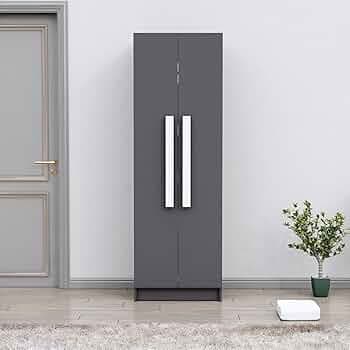 Bniture Wooden Almirah for Clothes, Door for Bedroom, 2 Door Wardrobe with 4 Shelves Huge Storage Space (46D x 60W x 182H CM) | 3 Year Warranty (Slate...