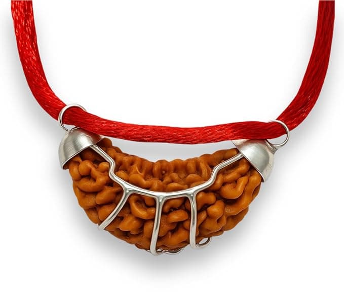 ASTRO CARE INDIA One face ek Mukhi Rudraksha Certified Original Nepali 1 Mukhi Kaju Rudraksh Natural one Faced Rudraksha Pendent (Brown) with SQ Lab Certificate.