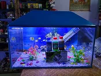 PRIYU 24 litres Aquarium Glass Tank Aquarium Set (9X9X18 Inches)