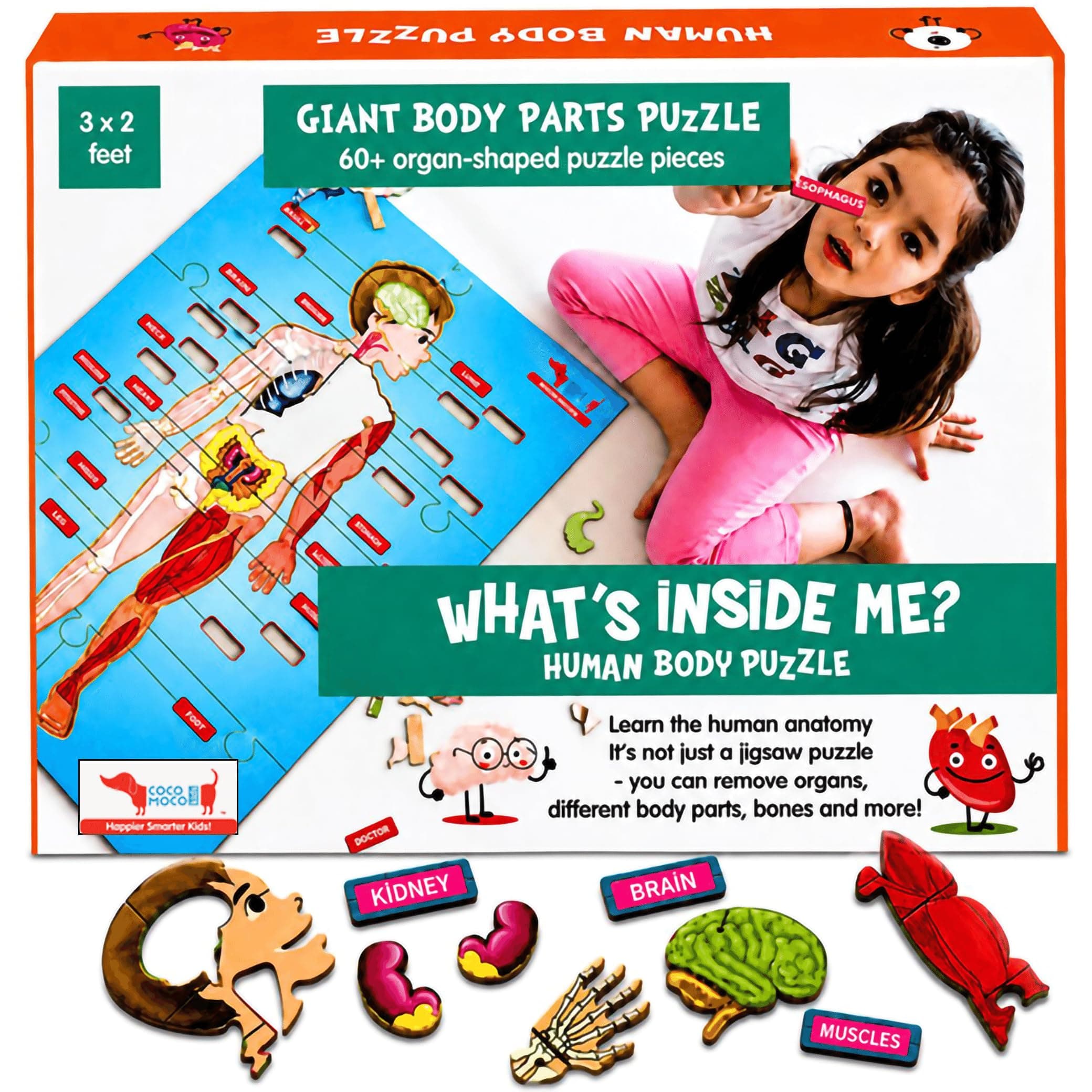 CocoMoco Body Parts Puzzle for Kids for Age 4, 10 Giant Shape Cut Wooden Jigsaw Puzzles for Kids- 60 Pieces- Educational Learning Toy- STEM Birthday Gift for Kids