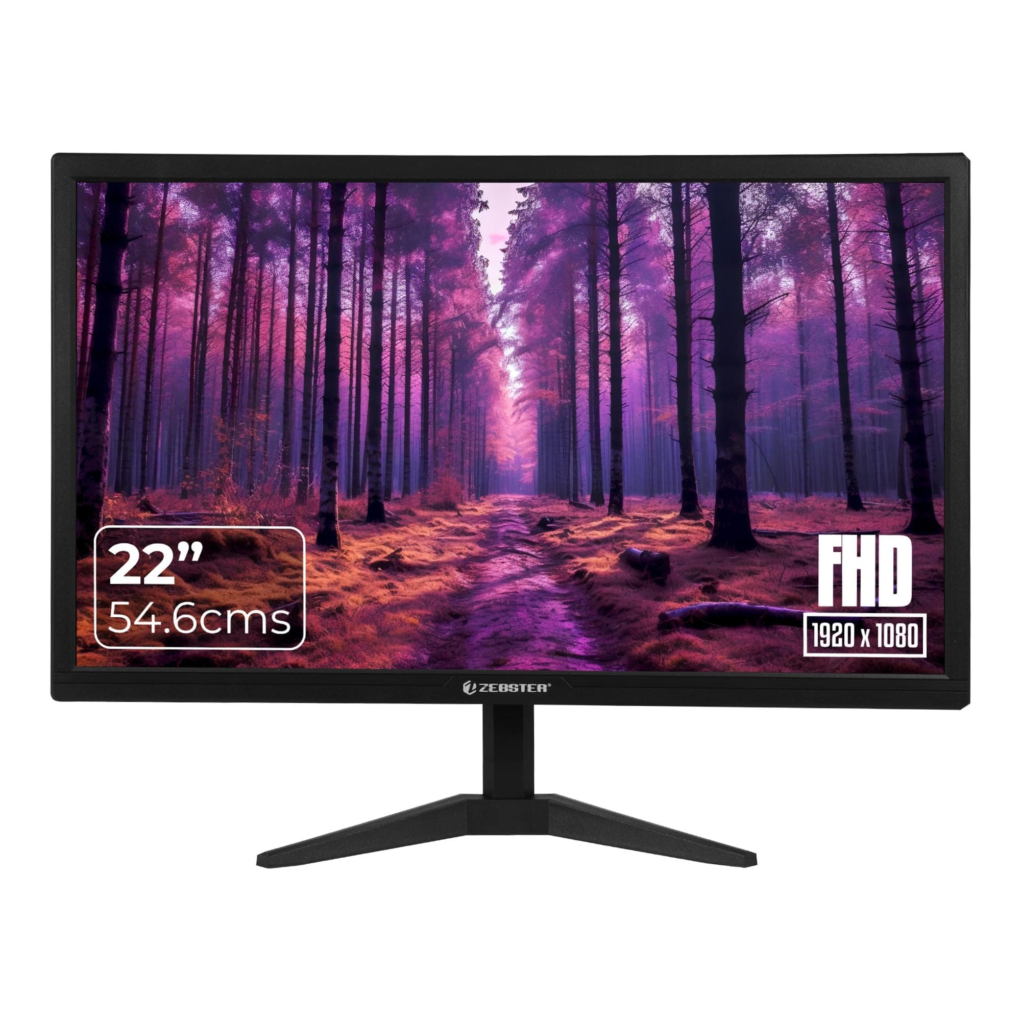 ZEBSTER GV222, 22 Inch (54.6cm) LED Monitor, Dual HDMI & VGA Input, FHD 1920 x 1080, 250nits Brightness, 300000:1 Dynamic Contrast Ratio, 16.7M Colors...
