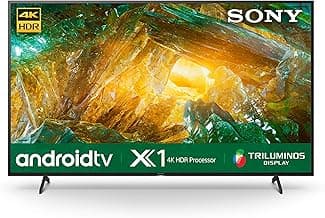 Sony Bravia 164 cm (65 inches) 4K Ultra HD Certified Android LED TV 65X8000H (Black) (2020 Model)
