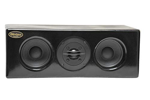 divine audio M-100 100 Watt Speaker (Black)