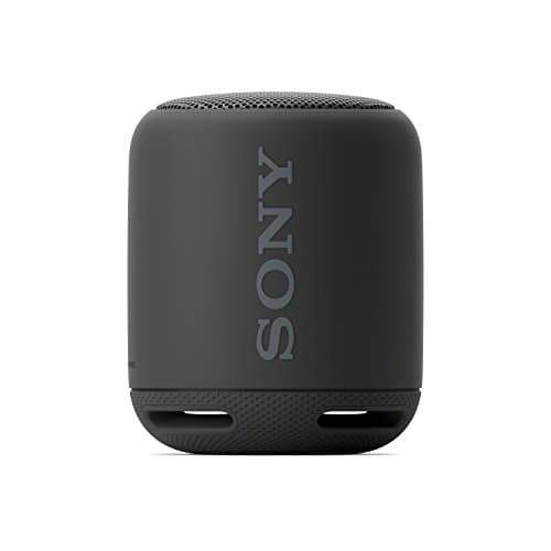 SONY SRSXB10/BLK Portable Bluetooth Speaker