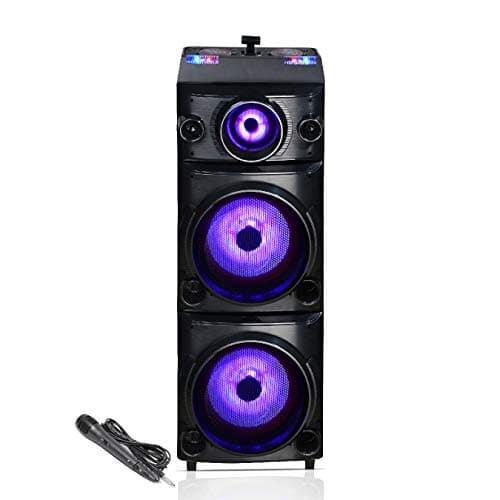 Blaupunkt from Germany PS600 Double Deejay Panel Party Speaker (Black)