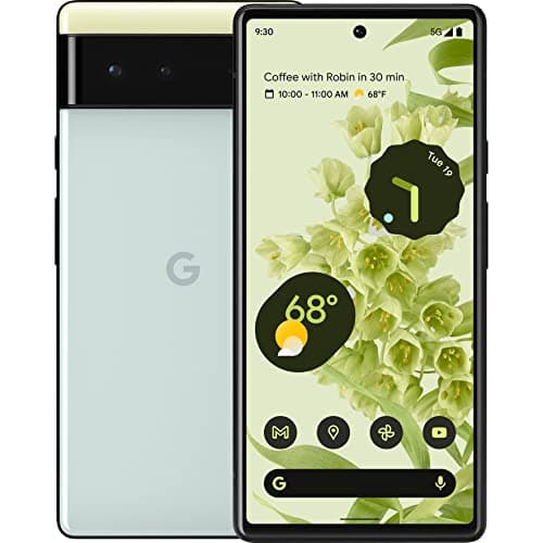 (Renewed) Google Pixel 6 5G (Sorta Seafoam, 8GB RAM, 128GB Storage)