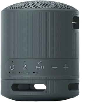 Sony XB100 Portable Bluetooth Speaker (Black)