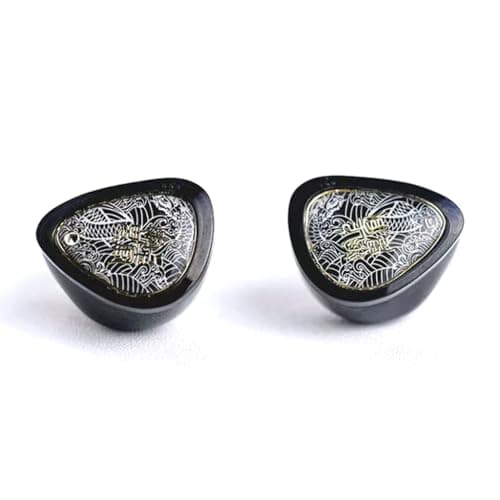Tangzu Wan'er S.G 2 Wired IEM Earphone with Mic, 10mm PET Diaphragm Dynamic Driver In-Ear Monitor earbuds with Ergonomic Resin Housing, Detachable 0.78mm 2-Pin Silver-Plated (Black, Type-C, Mic)