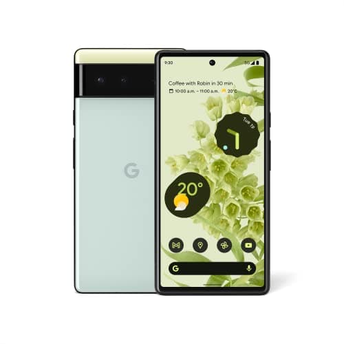 Google Pixel 6 5G (Sorta Seafoam, 8GB RAM, 256GB Storage)