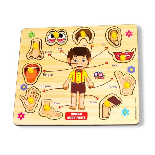 BuGBee Body Parts Toddler Puzzles for Kids Ages 2-4-8 Montessori Wooden Puzzles for Children 3-5 Years Old Preschool Game for Learning Human Body Parts Anatomy Skeleton - Gift Toys for Boy and Girl