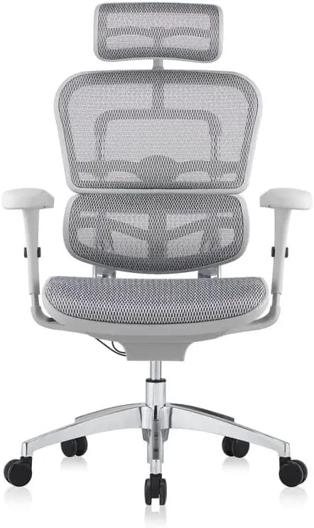 ErgoLab Ergofit Office Chair, High Back Ergonomic Mesh Home Office Desk Chair, Computer Chair with Comfortable Mesh Seat and Adjustable 4D Armrests, Multi-Tilt Lock Mechanism & Strong Aluminium Base
