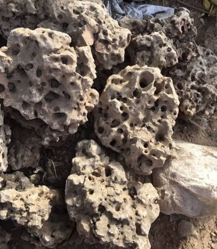 Maalavya Congo Rock Rocks for Aquarium Decoration Garden Decor Etc. (3 Kg)