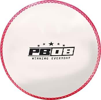 PB08 Synthetic Cricket Wind Ball White Color Cricket Ball 110g Cricket Synthetic Ball (Pack of 1, White)