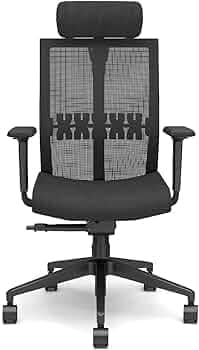 GODREJ INTERIO Aero Mesh High Back Ergonomic Office Chair for Work from Home/Study Chair/Revolving Chair, 1 Year Warranty, Adjustable Armrest and Heig...