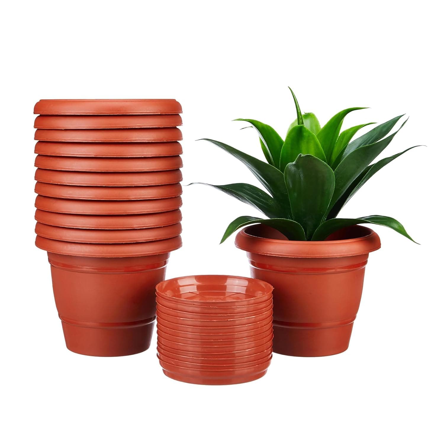 Amazon Brand - Solimo Round Pots for Plants with Bottom Tray | Lightweight | Indoor and Outdoor Flower Pot for Home/Office/Table/Garden/Balcony Decora...