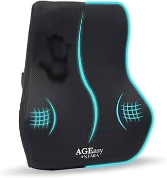 AGEasy (Max Group Lumbar Back Support for Chair | Back Support Pillow | Orthopedic Car Seat Back Support for Comfortable Long Rides | Ideal Back Rest ...