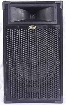 divine audio PAS 200 PA Speaker 200 watts