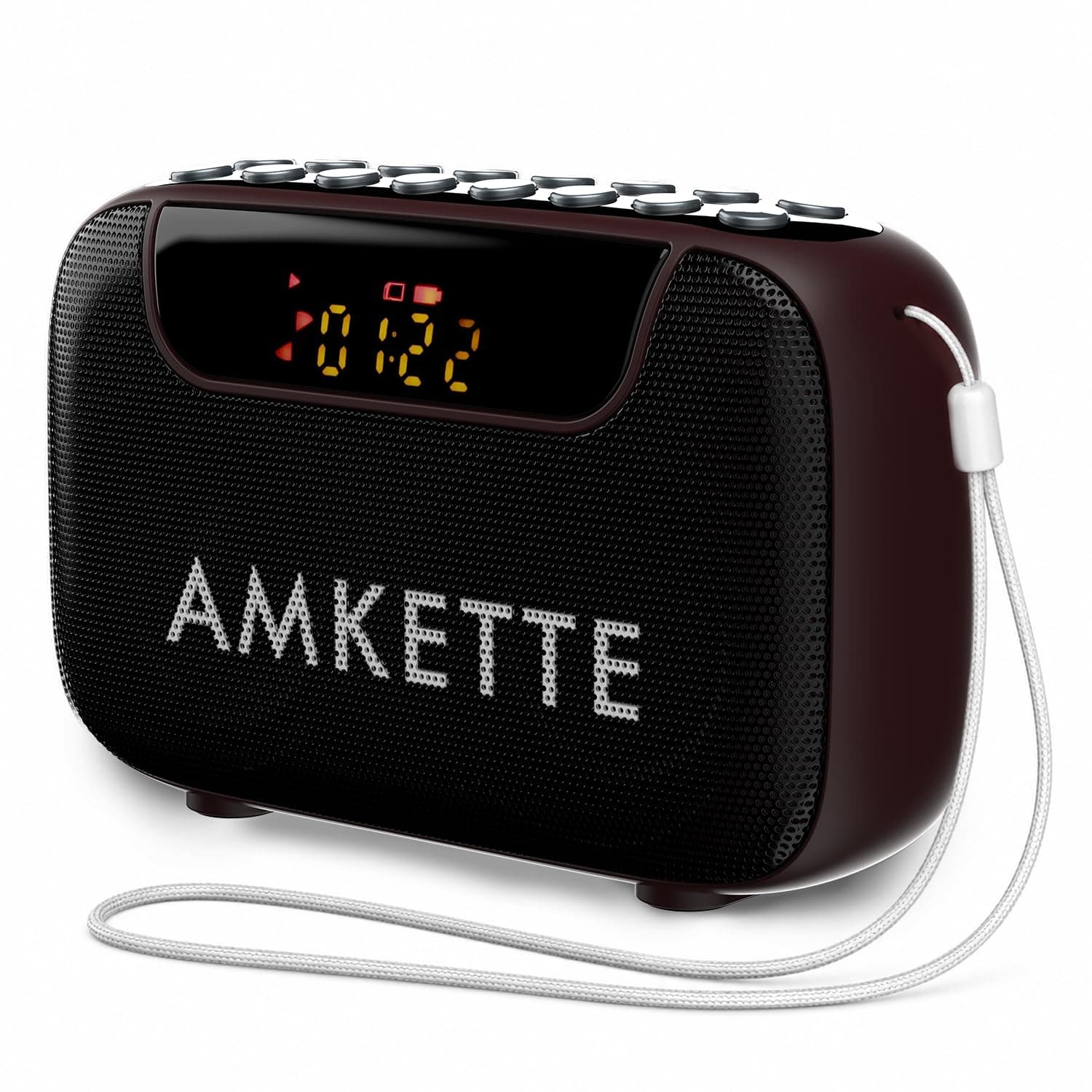 Amkette Pocket Blast FM Radio Bluetooth Speaker with Type C Charging, Hidden Antenna, 6W Output, Voice/FM Recording, 7+ Hours Playback, and Number Pad (AUX, SD Card, USB Input) (Brown)